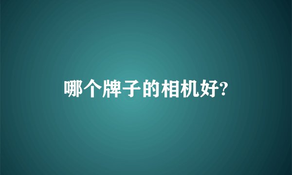 哪个牌子的相机好?