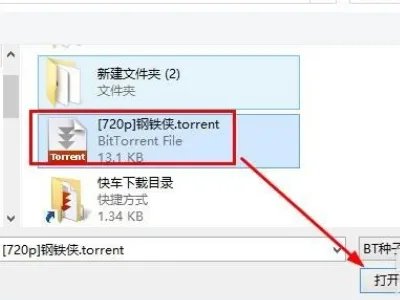 为什么现在用迅雷下载，老是说BT文件解析失败，或者不能下载，手机除