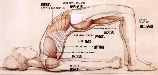 素颜女神王丽坤为什么能迷倒林更新？