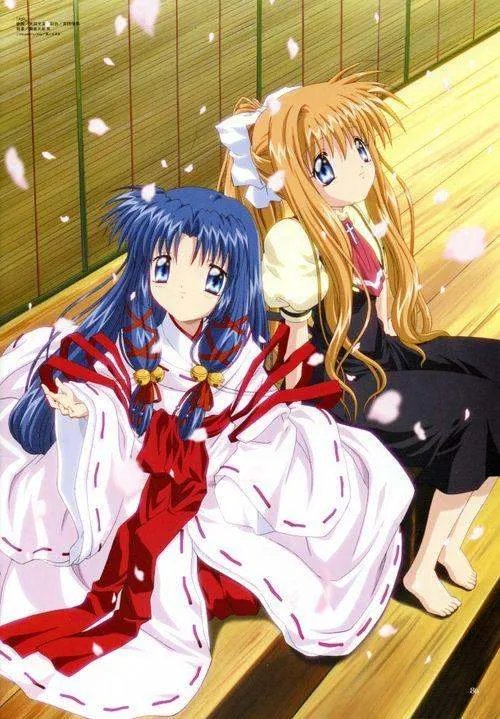 上海金茂大厦的结构从形式和结构特点是什么