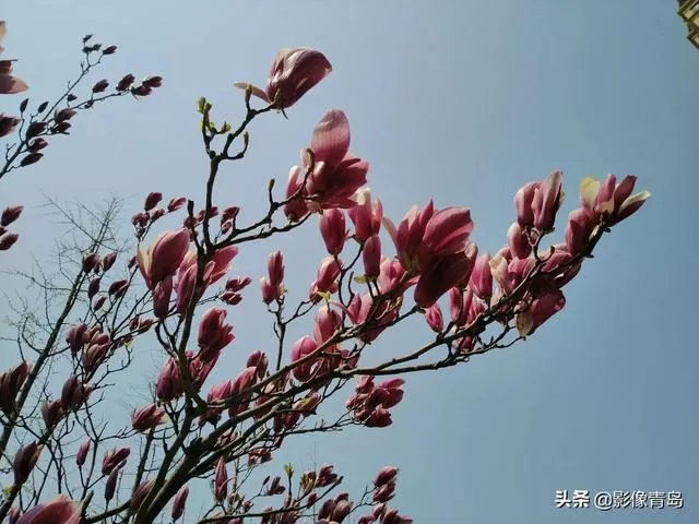 今年五一天津人能跨省旅游吗？