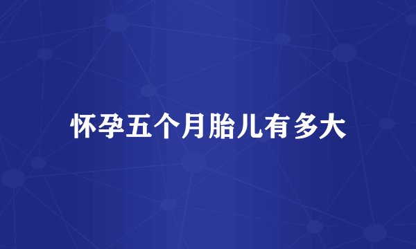 怀孕五个月胎儿有多大