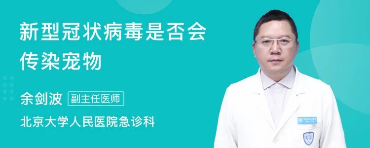 新型冠状病毒是否会传染宠物