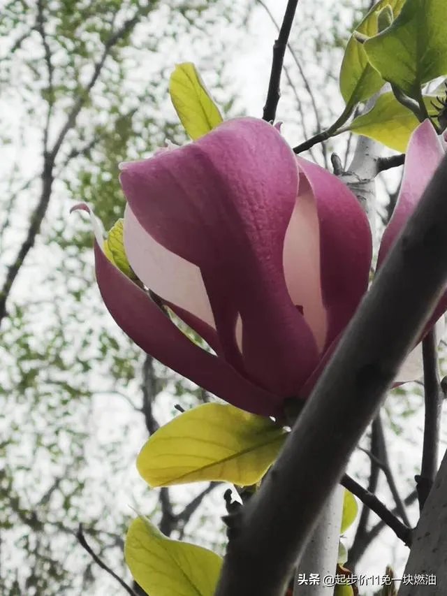 今年五一天津人能跨省旅游吗？