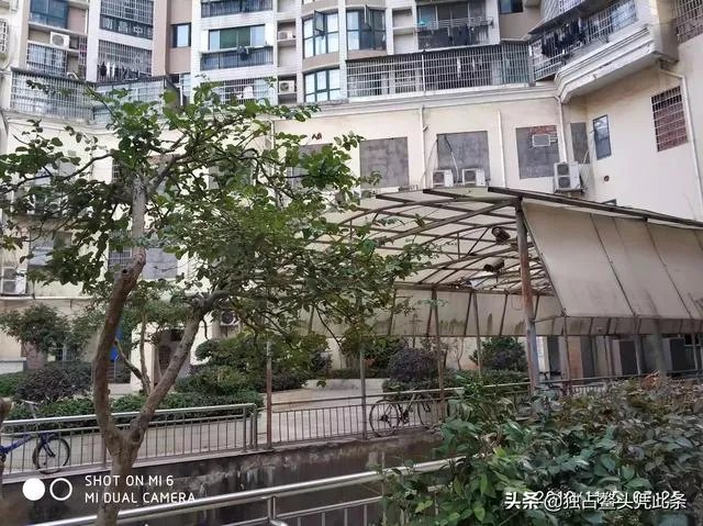 林如海为贾雨村办事，按理说应该找袭爵的贾赦，为何找的是贾政？