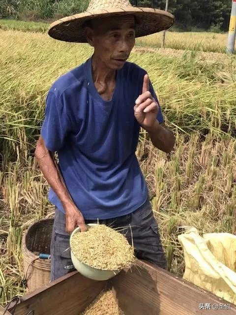 农村老人希望有和当地退休工人最低标准的退休金合理吗？