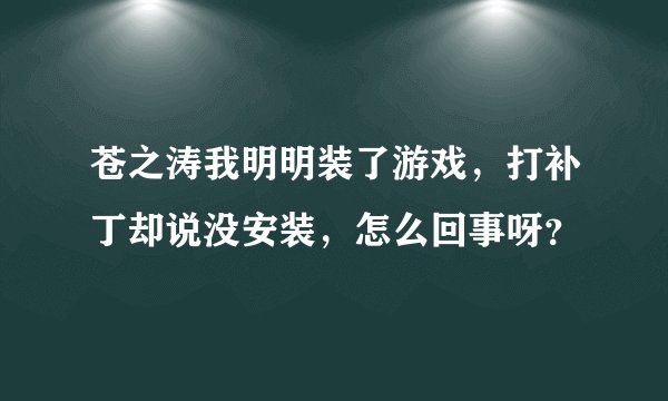 苍之涛我明明装了游戏，打补丁却说没安装，怎么回事呀？