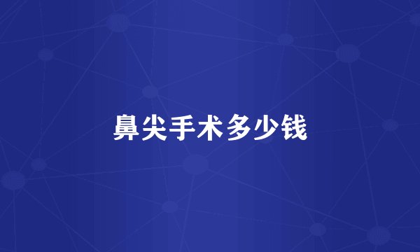 鼻尖手术多少钱