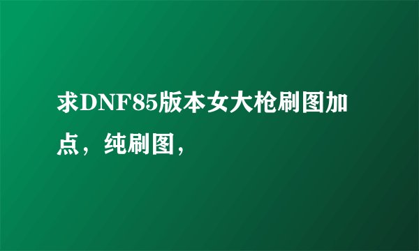 求DNF85版本女大枪刷图加点，纯刷图，