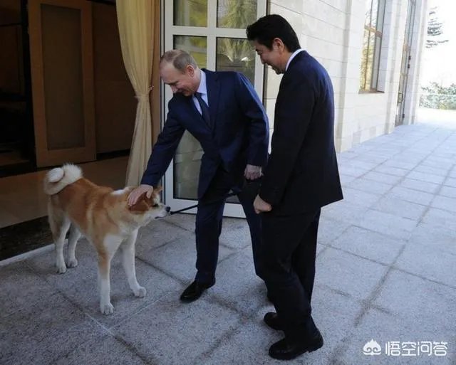 日本发表混乱外交蓝皮书