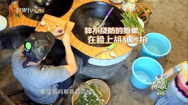 吴尊老婆不愿意在公众面前曝光,真的是因为长的丑吗?