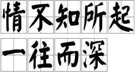 情不知所起 一往而深 全文