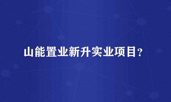 山能置业新升实业项目？
