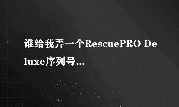 谁给我弄一个RescuePRO Deluxe序列号？谢谢啊