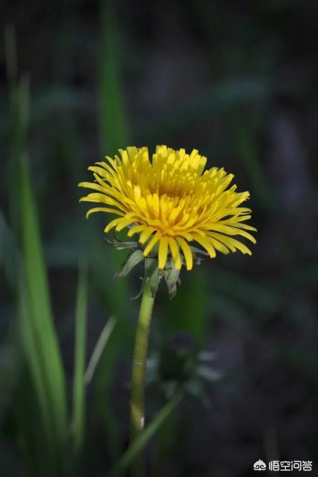 买了二手房原房东把神请走了，神位留下了可以扔掉吗？