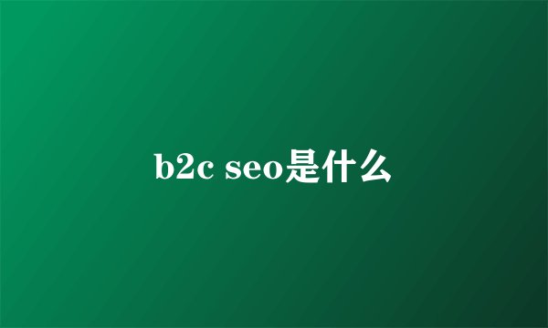 b2c seo是什么