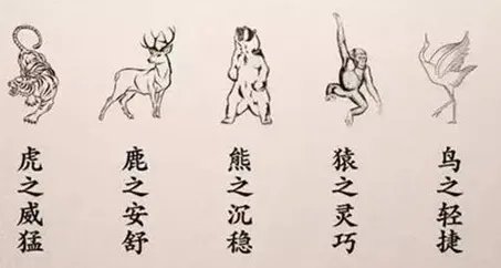 华佗的五禽戏分别指的是哪五禽？有什么作用？