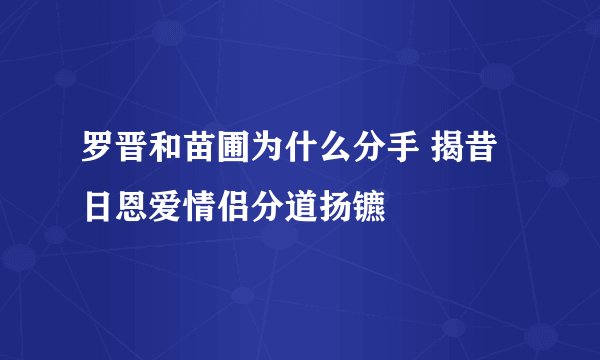 罗晋和苗圃为什么分手 揭昔日恩爱情侣分道扬镳