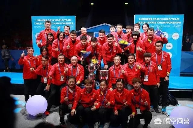 新华社的2018体育十佳：武大靖、苏炳添、徐嘉余、朱婷等上榜，你认为客观公正吗？