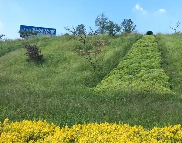 蔚然花海好玩吗？