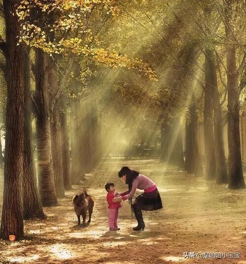 母爱如天是成语？