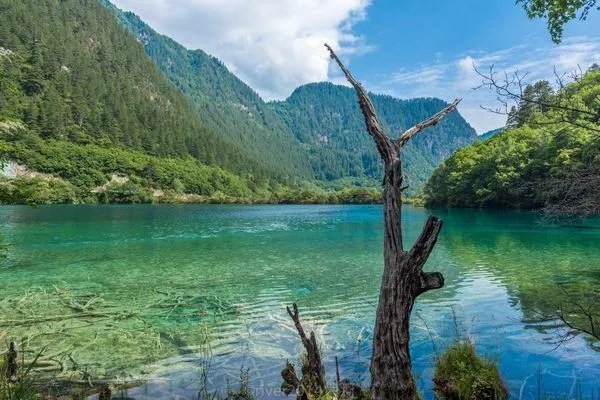 为什么绿色和蓝色的桌面背景被认为可以护眼?