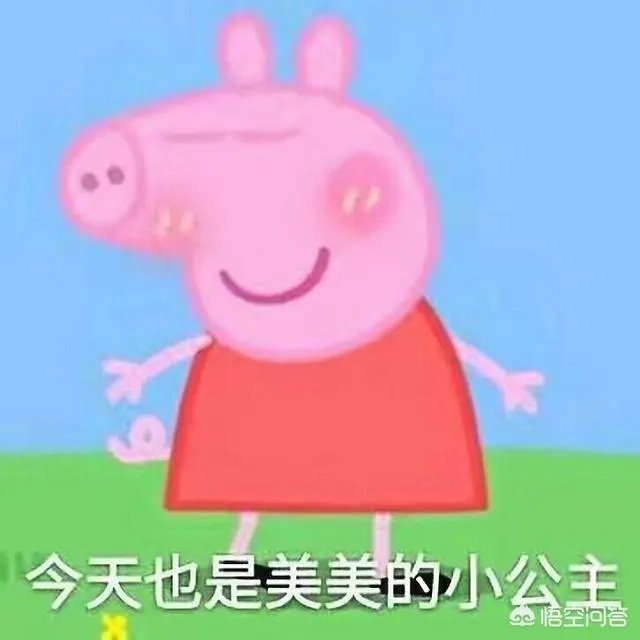 momoland究竟是下一个Crayon Pop还是下一个EXID?