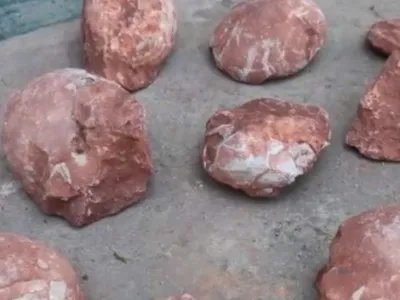 江西工地挖出恐龙蛋化石看看网友是怎么评论