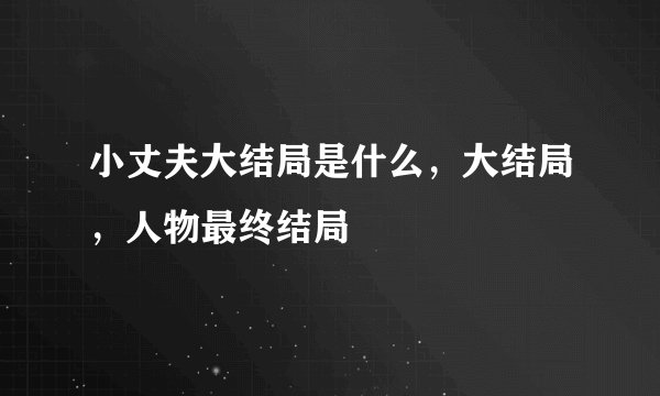 小丈夫大结局是什么，大结局，人物最终结局