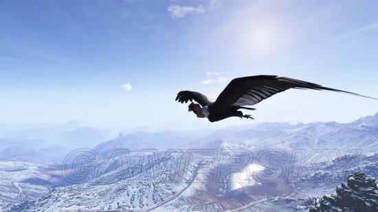 《幽灵行动荒野》全生物图鉴与介绍 生物大全