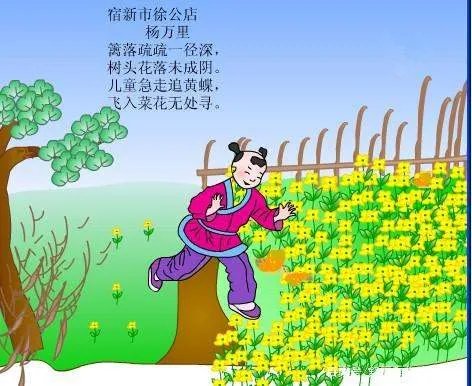儿童急走追黄蝶,飞入菜花无处寻的意思是？