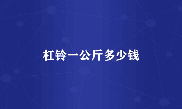 杠铃一公斤多少钱