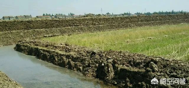 养殖小龙虾大概要准备多少资金?能不能挣钱?