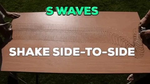 鱼跳上岸是什么征兆