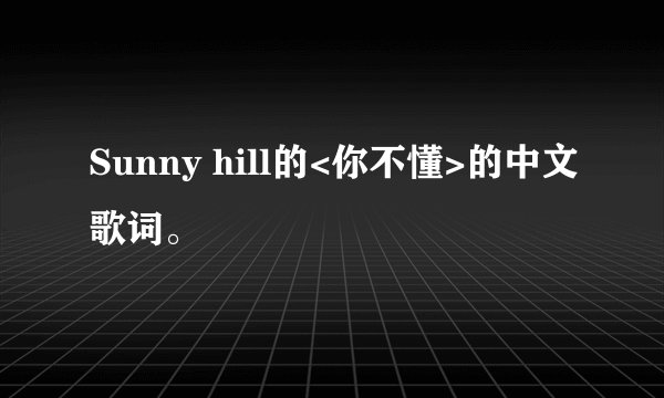 Sunny hill的<你不懂>的中文歌词。