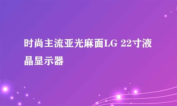 时尚主流亚光麻面LG 22寸液晶显示器