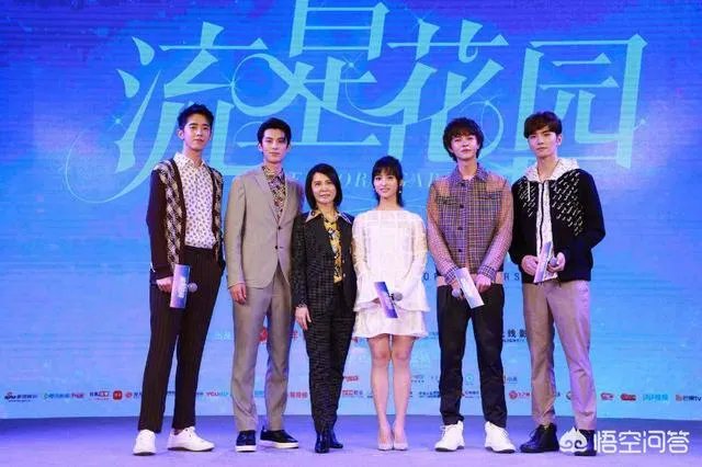 如何评价《新流星花园》里饰演道明寺的王鹤棣？