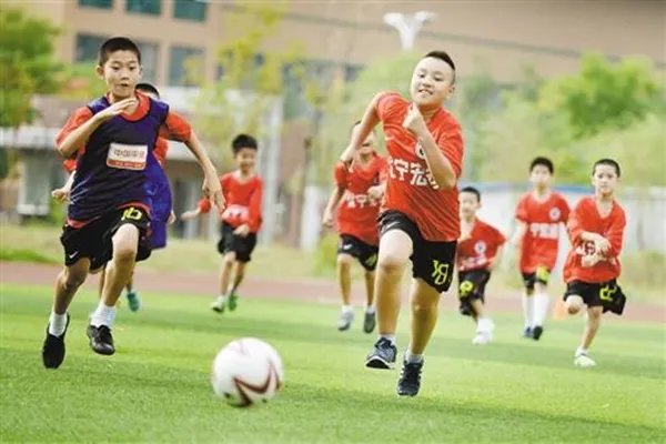 办公室小野支付救助金，怎样消除网络视频对小孩的不良影响？