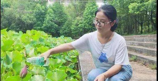 考古界团宠钟芳蓉北大报到，为何钟芳蓉一直备受关注？