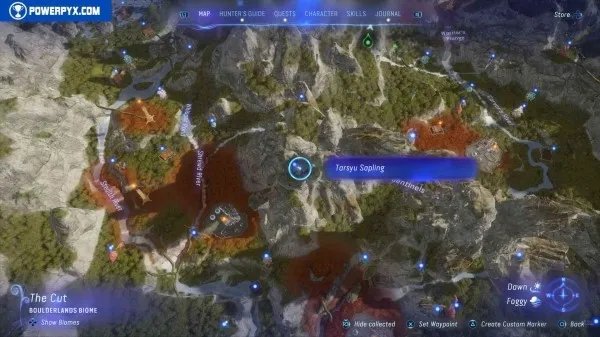 《阿凡达潘多拉边境》塔休幼苗位置汇总 塔休幼苗收集攻略