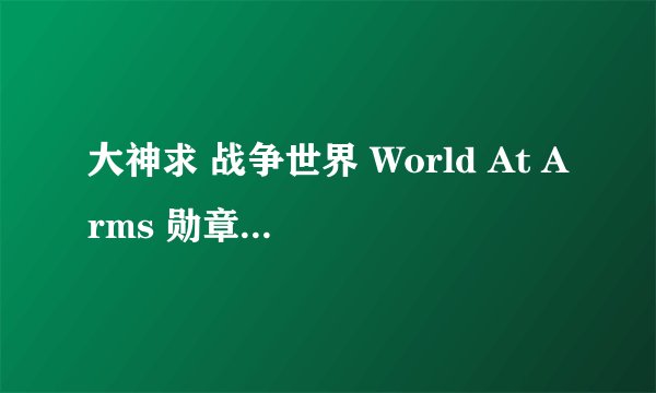 大神求 战争世界 World At Arms 勋章修改方法。。。