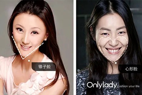 假脸姐妹团的含义解释