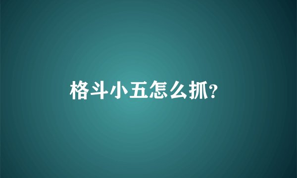 格斗小五怎么抓？
