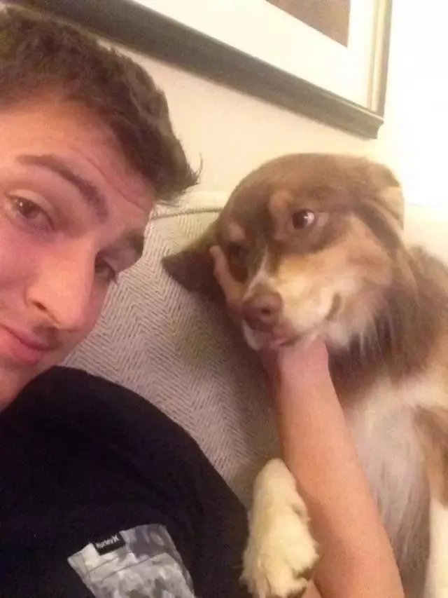 狗狗可以有多粘人？