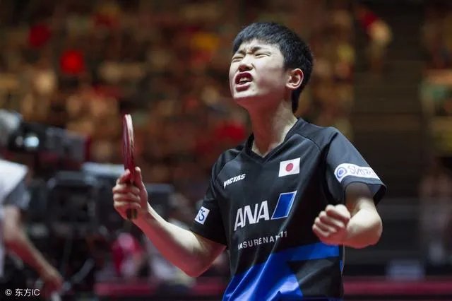 华裔小将张本每天叫嚣要战胜中乒乓球队，却在四强被卡尔完虐，都没有吼叫，你怎么看？
