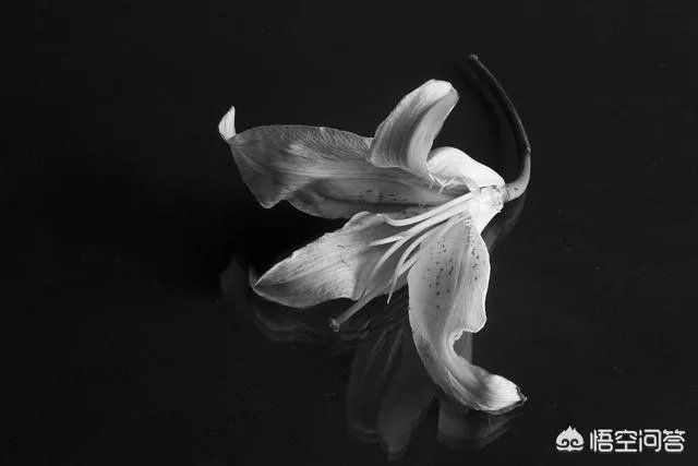 摔倒在路边的老人你扶不扶？