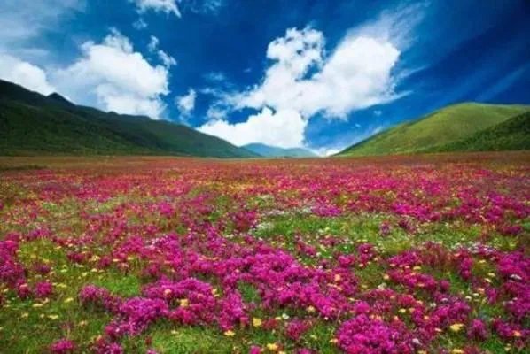 好听又好记的微信账号