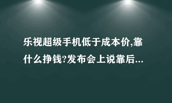 乐视超级手机低于成本价,靠什么挣钱?发布会上说靠后期服务挣钱，这后期服务指的是什么？
