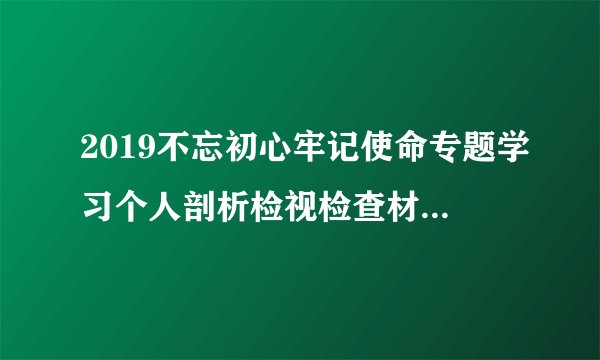 2019不忘初心牢记使命专题学习个人剖析检视检查材料范文5篇