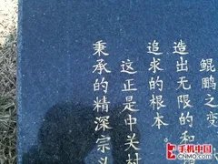 精彩在WO 年度WCDMA制式手机横向评测